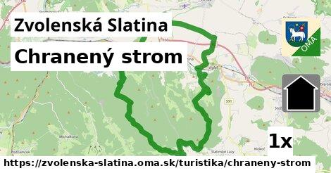 Chranený strom, Zvolenská Slatina