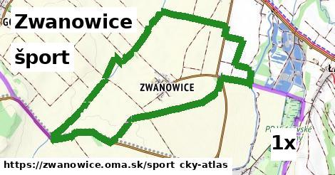 šport v Zwanowice