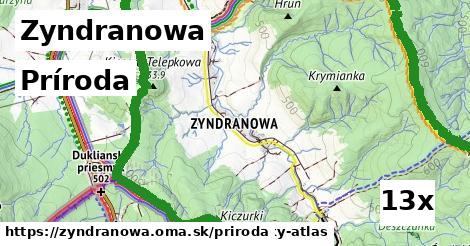 príroda v Zyndranowa