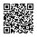 QR kód na túto stránku brezova-nad-svitavou.oma.sk cyklotrasa blue mtb