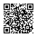 QR kód na túto stránku brezova-u-uherskeho-brodu.oma.sk ubytovanie penzion