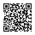 QR kód na túto stránku okres-nove-zamky.oma.sk pamiatka hranicny-kamen
