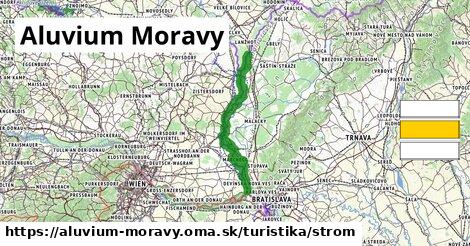 Aluvium Moravy Turistické trasy strom 