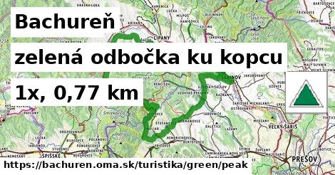 Bachureň Turistické trasy zelená odbočka ku kopcu