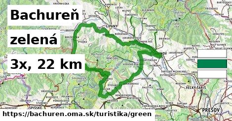 Bachureň Turistické trasy zelená 