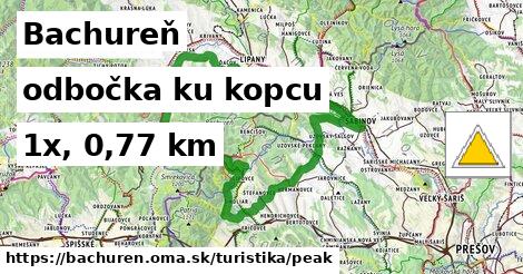 Bachureň Turistické trasy odbočka ku kopcu 