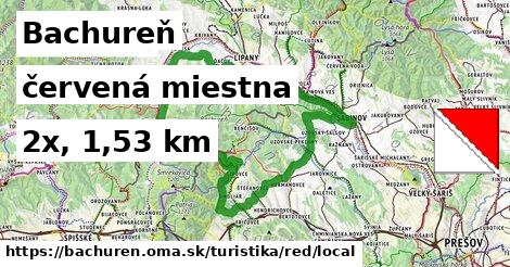 Bachureň Turistické trasy červená miestna