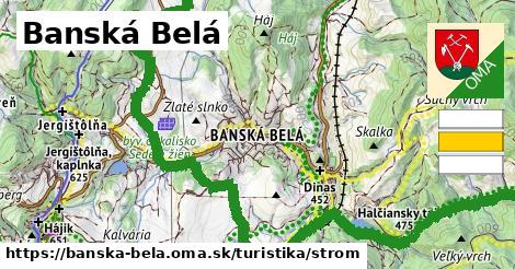 Banská Belá Turistické trasy strom 