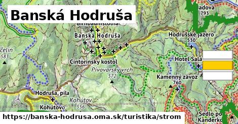 Banská Hodruša Turistické trasy strom 
