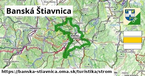 Banská Štiavnica Turistické trasy strom 