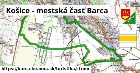 Košice - mestská časť Barca Turistické trasy strom 