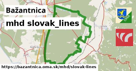 Bažantnica Doprava slovak-lines 