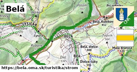 Belá Turistické trasy strom 