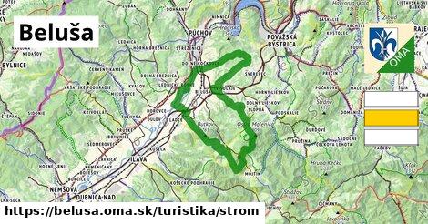 Beluša Turistické trasy strom 