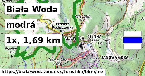 Biała Woda Turistické trasy modrá iná