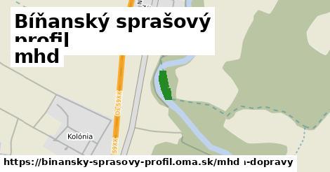 Bíňanský sprašový profil Doprava  