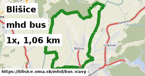 Blišice Doprava bus 