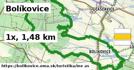 Bolíkovice Turistické trasy iná 