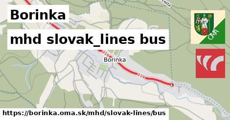 Borinka Doprava slovak-lines bus