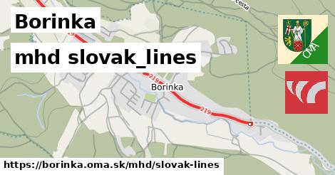 Borinka Doprava slovak-lines 