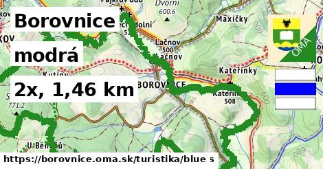 Borovnice Turistické trasy modrá 