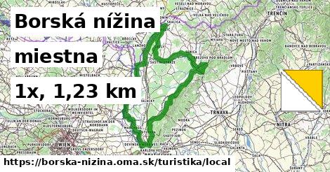 Borská nížina Turistické trasy miestna 