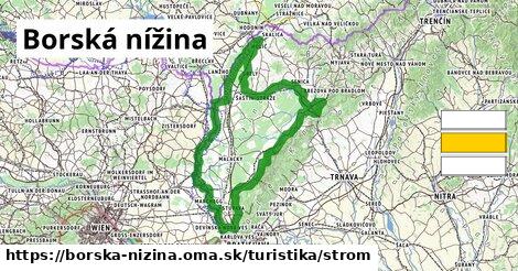 Borská nížina Turistické trasy strom 