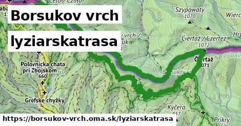 Borsukov vrch Lyžiarske trasy  