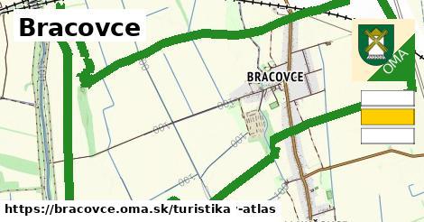 Bracovce Turistické trasy  