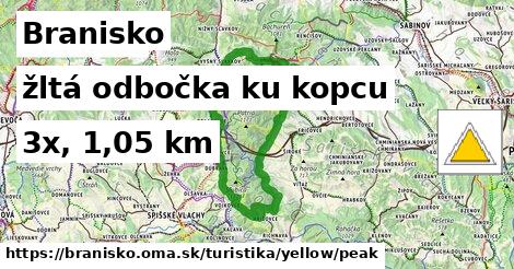 Branisko Turistické trasy žltá odbočka ku kopcu