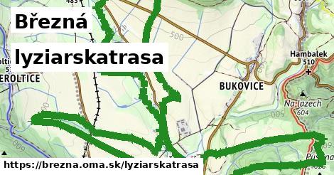 Březná Lyžiarske trasy  