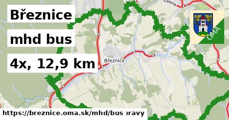 Březnice Doprava bus 