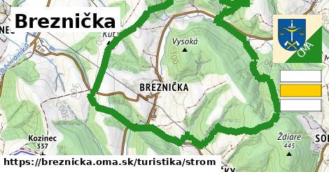 Breznička Turistické trasy strom 