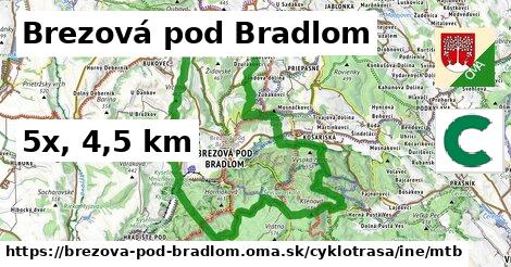 Brezová pod Bradlom Cyklotrasy iná mtb