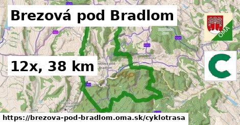 Brezová pod Bradlom Cyklotrasy  