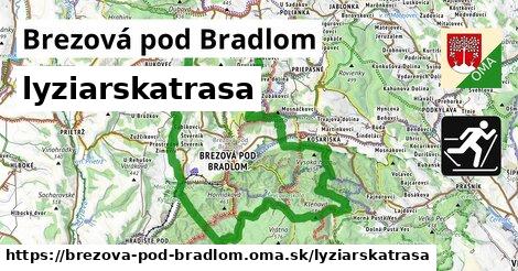 Brezová pod Bradlom Lyžiarske trasy  