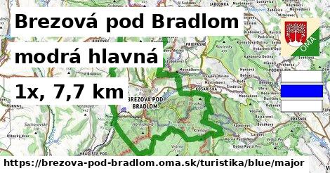 Brezová pod Bradlom Turistické trasy modrá hlavná