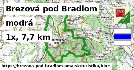 Brezová pod Bradlom Turistické trasy modrá 