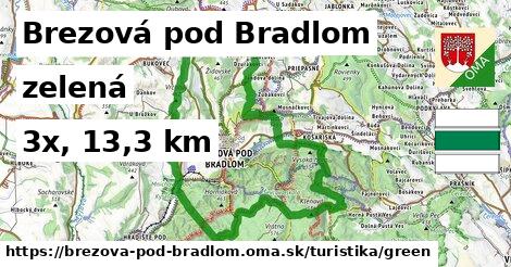 Brezová pod Bradlom Turistické trasy zelená 