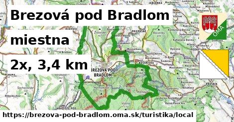 Brezová pod Bradlom Turistické trasy miestna 