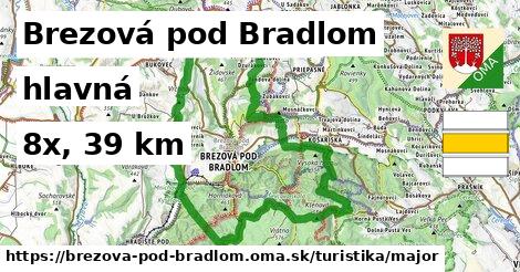 Brezová pod Bradlom Turistické trasy hlavná 