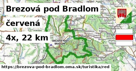 Brezová pod Bradlom Turistické trasy červená 