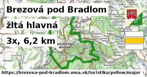 Brezová pod Bradlom Turistické trasy žltá hlavná