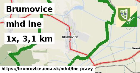 Brumovice Doprava iná 