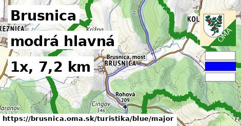 Brusnica Turistické trasy modrá hlavná