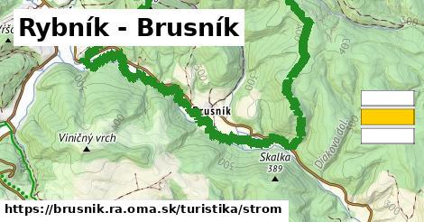 Rybník - Brusník Turistické trasy strom 