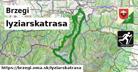 Brzegi Lyžiarske trasy  