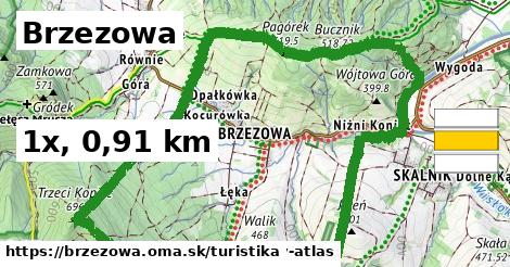 Brzezowa Turistické trasy  