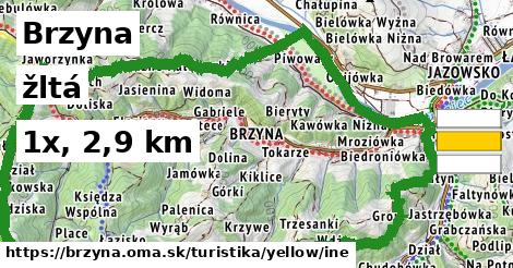 Brzyna Turistické trasy žltá iná