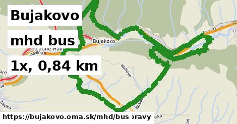 Bujakovo Doprava bus 